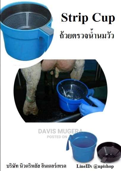 Strip Cup ถ้วยตรวจน้ำนมวัว ถ้วยสำหรับตรวจน้ำนมโคก่อนการรีดนม