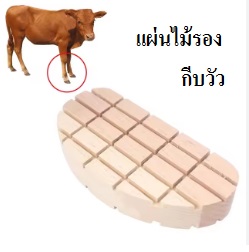 แผ่นไม้กีบเท้าวัว รองเท้าวัว