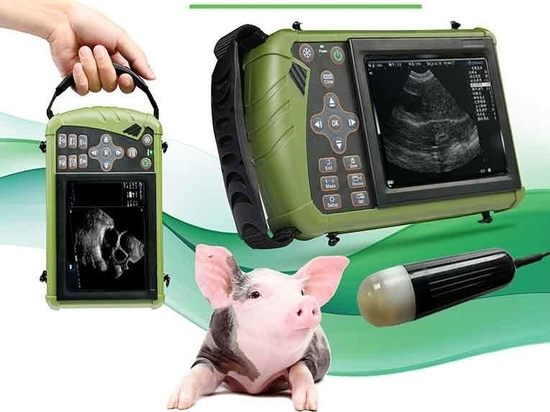 เครื่องอัลตร้าซาวน์ตรวจท้องสัตว์ Ultrasound scanner for animal