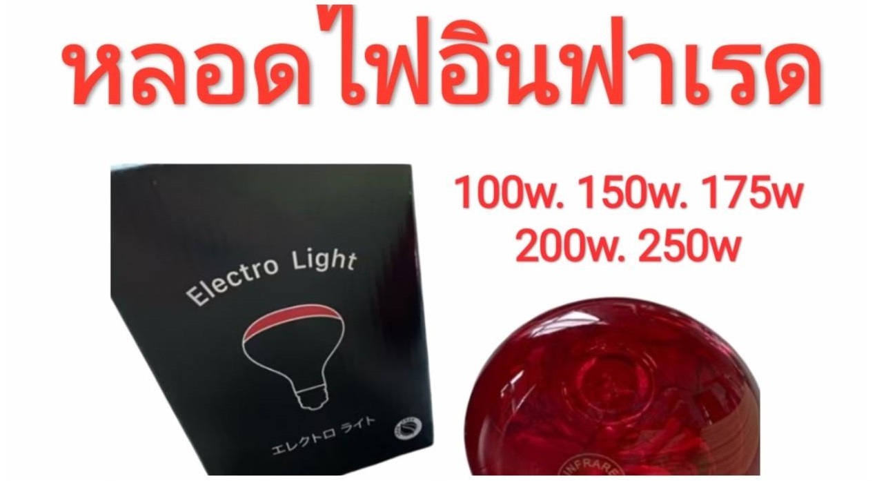 หลอดไฟอินฟาเรด Infrared Light Bulb
